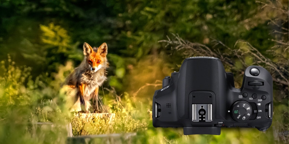 Canon EOS 850D